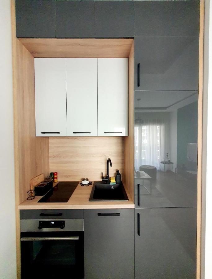 Apartman Ana Lux Podgoriţa Exterior foto